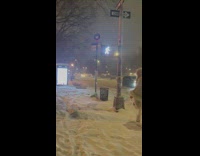 White dress girl poses with fresh snow 