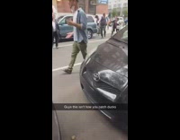 Alarmed New Yorkers try to stop ducklings running towards street 