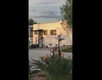 Blonde girl checkered sleeves lean wall map