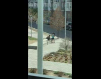 Man shirtless boxing gloves workout video