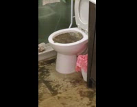 Toilet floods with sewage water 