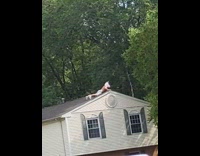 Shirtless guy white unicorn horse mask roof