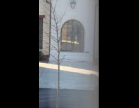 Man black suit films inside open house