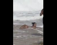 Big wave knocks over girl butt beach 