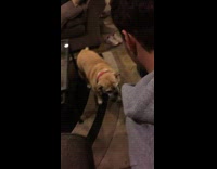 guy in gray sweater falls down and hits table