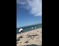 Girl white dress stretch arms beach windy part 2