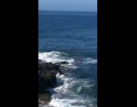 Guy poses on metal ladder in ocean