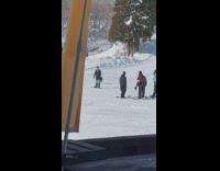 Wild Boar Rams on Skiers at Ski Resort