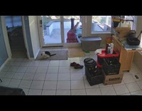 Cat rub butt on rug poop trail