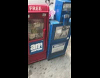 Scary scream growl roar comes from newspaper box on the sidewalk