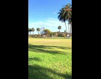 Man blue top green shorts rollerblades public park Part 2