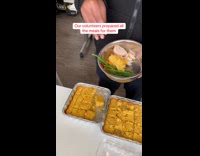 Volunteers feed shelter dogs for Thanksgiving dinner