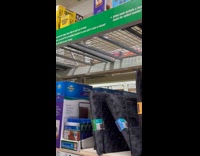 Small bird roam inside Menards store part 2