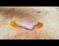 Guy cooks raw fish cpu computer processor 