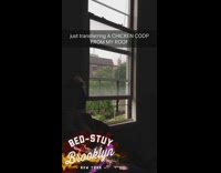 Chicken coop and black crates delivered on side of building from roof using ropes pulley system