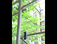 Monster energy drink can hanging on scaffolding