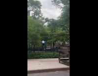 Employee playing at swing by himself