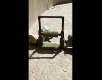 Tortoise goes through tortoise car wash zoo