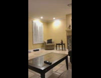 White maltese dog sitting up right on couch watching NBA basketball game