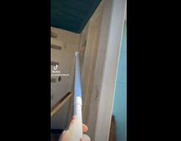 Frog in hole pulled by snake in wall