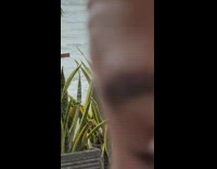 Woman black bikini dance rain beach plants part 2