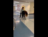 Friend tries to help woman front flip but fails and smashes head