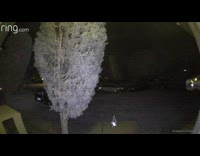 Spider climbs on its web in front of the Security camera