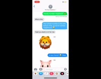 Text door neighbor iphone  animoji dragon pig lion