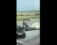 Collab BitchMP - Aftermath of accident caught after girl barks at dog in driveway