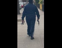 Lady with handful of snakes