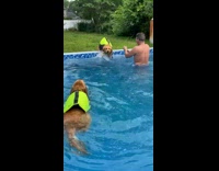 Collab BitchMP - Dog paddling on edge of pool