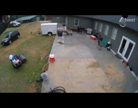 Dog Slips on Floor as it Stops then Hits Face on Wall