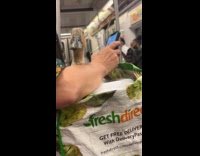 Duck ride train stare down with passenger