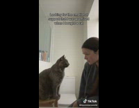 Woman staring at her grey cat sitting on a wooden stool 