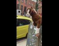 Brown horse toy on grey mailbox graffiti 