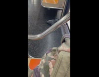 Pigeon bird get off of the train