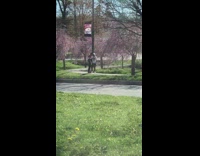 Collab IITW - Guy rap walk video under flower trees