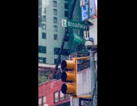 Bunch of bees flies around Times Square