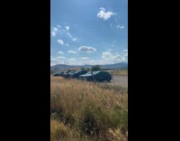 White and colored cars parked on different sides.