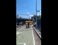 Collab Subway Creatures - Man rides the segway scooter with dogs