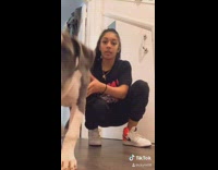 Dog tilts head squeaky toy noise girl 