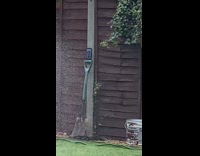 Guy black shirt dance water hose rain