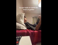 Pet dog follows man everywhere he goes