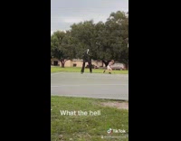 Skeleton skull nun stilts halloween park basketball