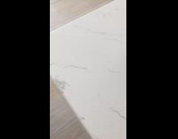 Dog begs for food holds bowl mouth