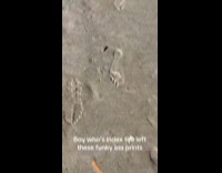 Woman sees strange footprints on sand