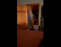 Dog walks into owners room with bag of food 