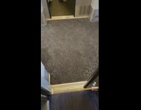 Guy opens automatic door inside train 