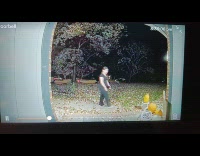 Kid pressing doorbell with dont ring sign 