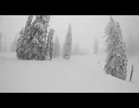 backflip snow storm blue jacket